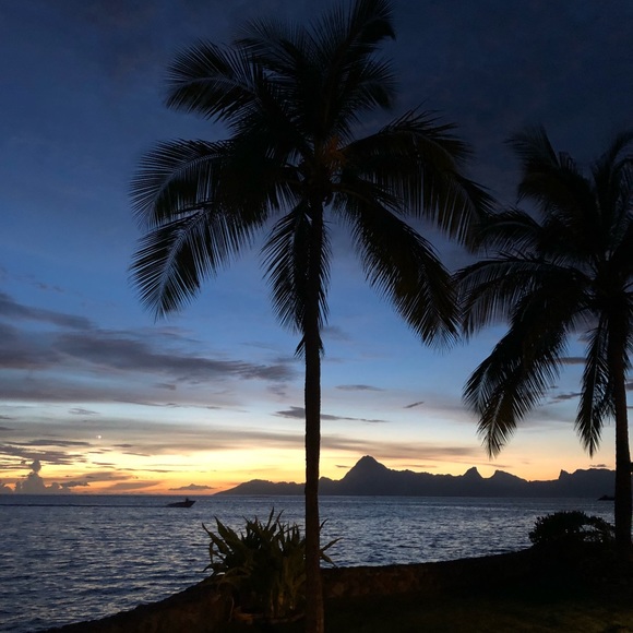 Meet your Posher, Sammy - Picture 1 of 1